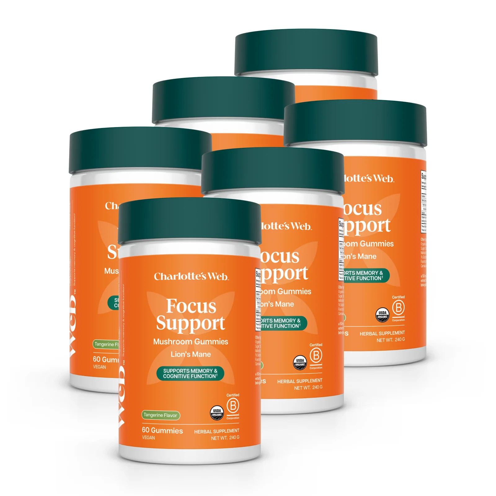 Focus Support Mushroom Gummies Bundle - Image 3