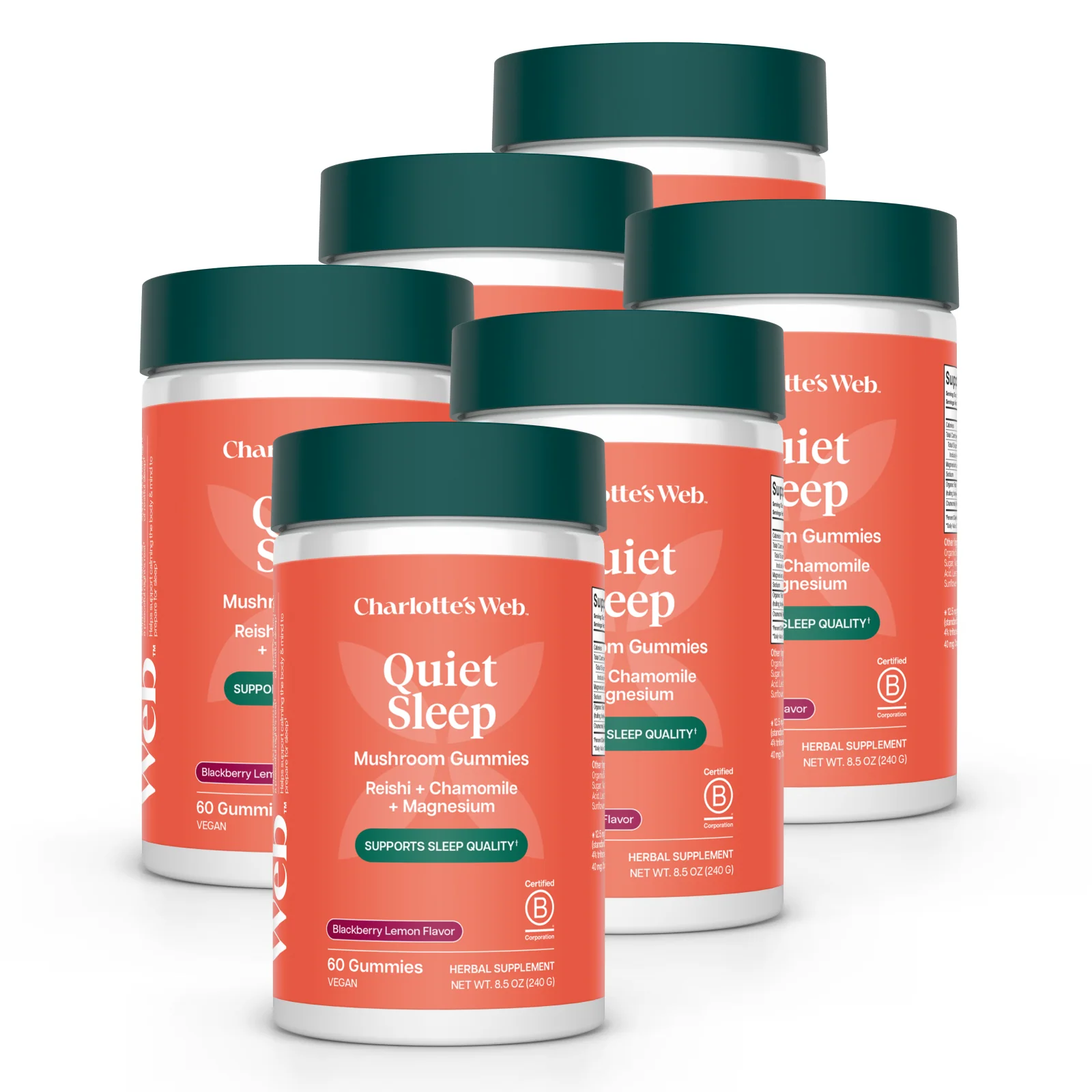 Quiet Sleep Mushroom Gummies Bundle - Image 3